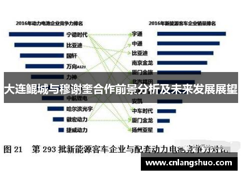 大连鲲城与穆谢奎合作前景分析及未来发展展望