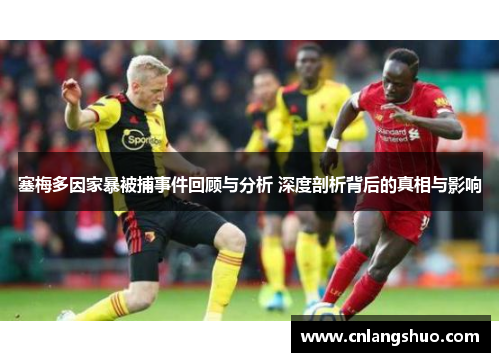 塞梅多因家暴被捕事件回顾与分析 深度剖析背后的真相与影响