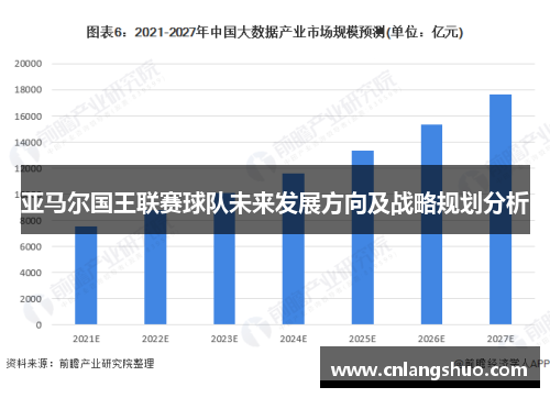 亚马尔国王联赛球队未来发展方向及战略规划分析