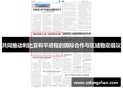 共同推动利比亚和平进程的国际合作与区域稳定倡议